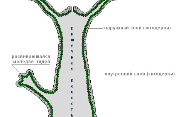 Кракен торговая kr2web in