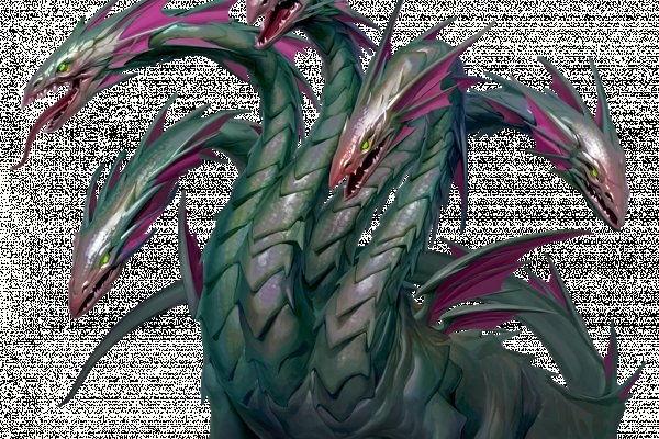 Kraken kraken dark link